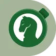 Quarter Horse Icon